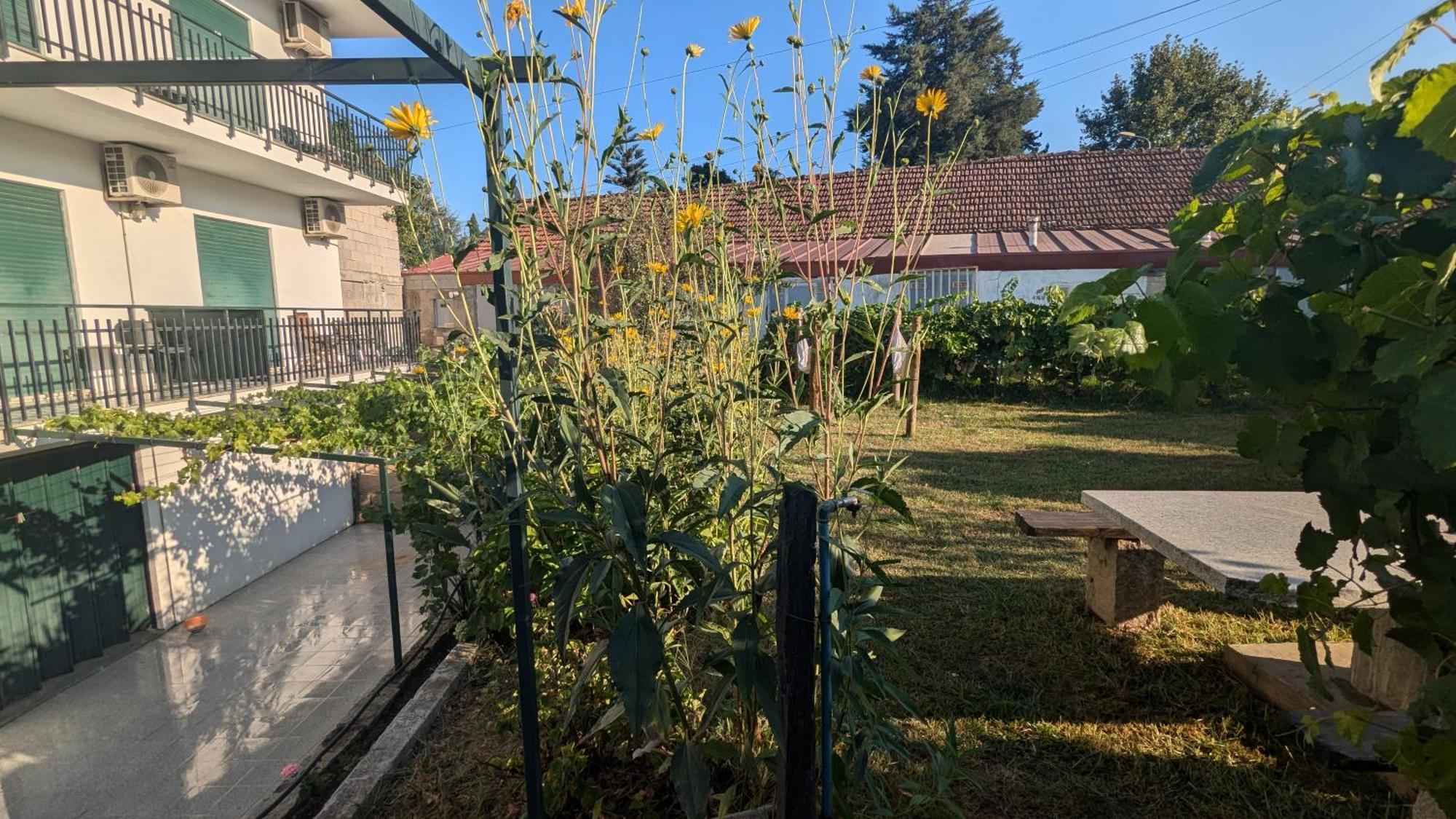 מלון פסו דה רגואה Casa Do Olival מראה חיצוני תמונה