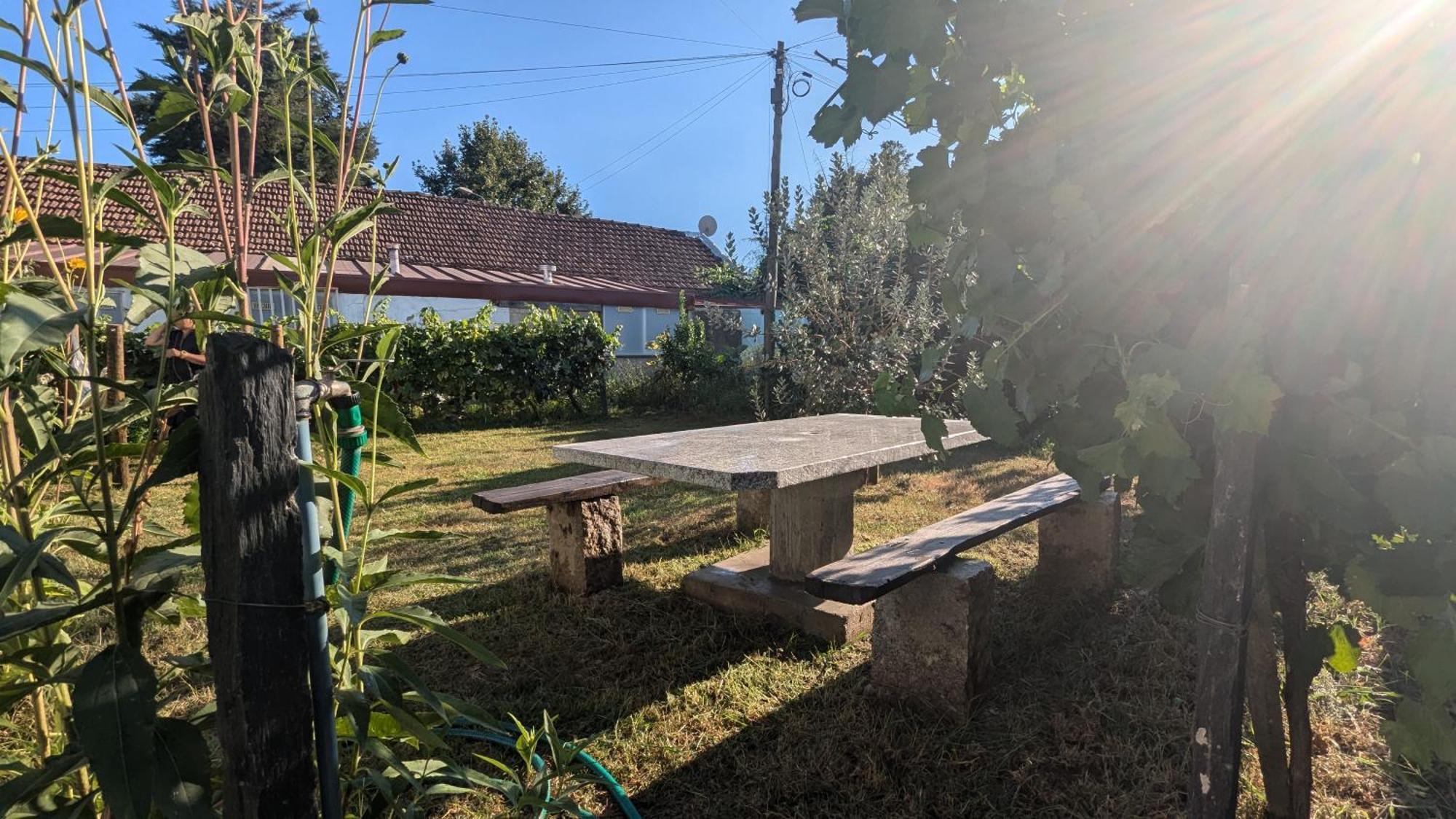 מלון פסו דה רגואה Casa Do Olival מראה חיצוני תמונה