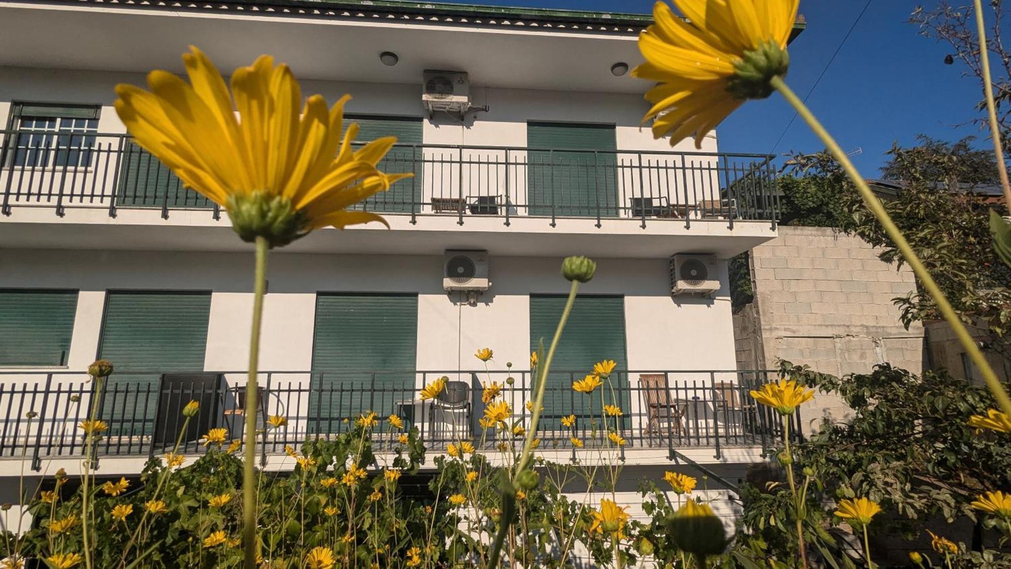 מלון פסו דה רגואה Casa Do Olival מראה חיצוני תמונה