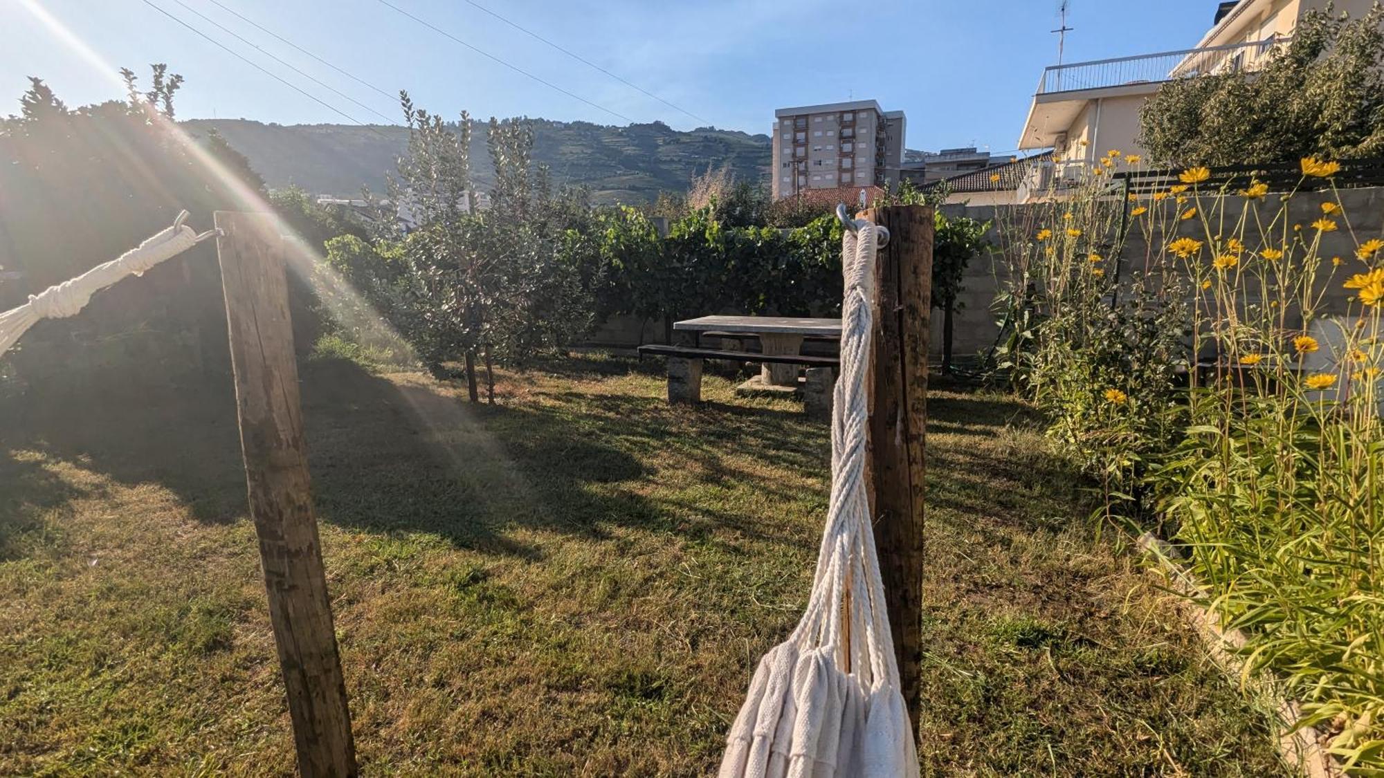 מלון פסו דה רגואה Casa Do Olival מראה חיצוני תמונה