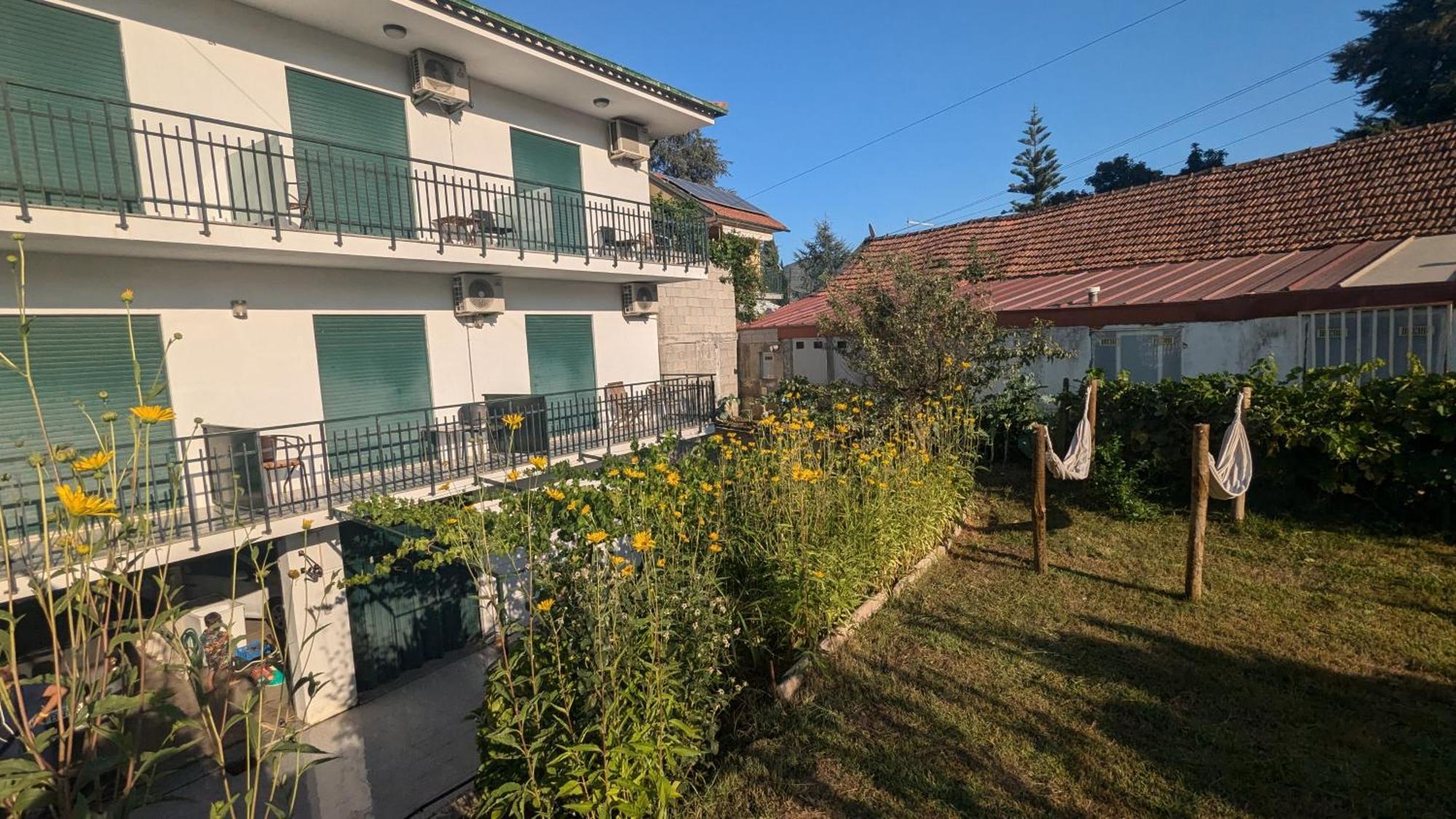 מלון פסו דה רגואה Casa Do Olival מראה חיצוני תמונה